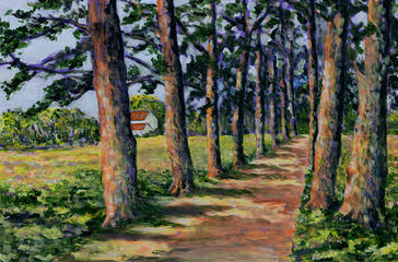 Avenue of Trees, Languedoc-Roussillon, France