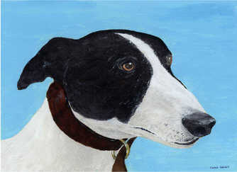 Shaker Champion Greyhound