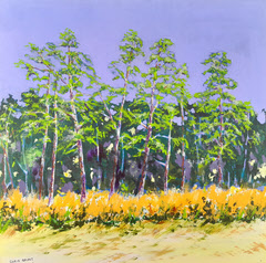 Holkham Pine Trees from the Beach 2