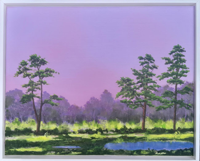 Holkham Dunes and Pines 