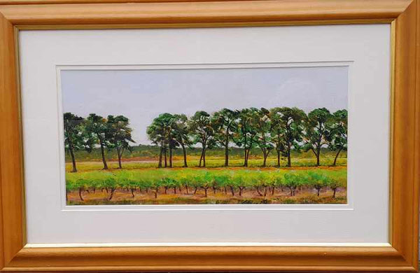 Vines and Pines, France
